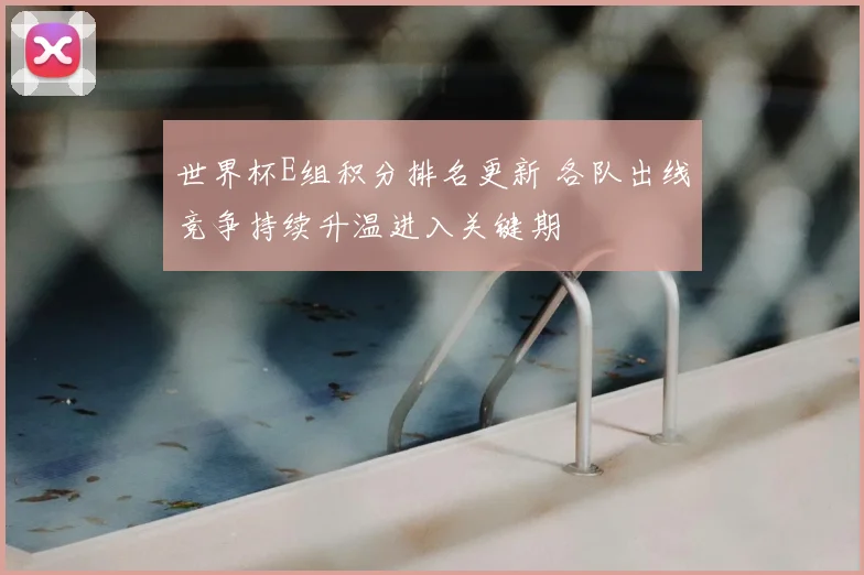 世界杯E组积分排名更新 各队出线竞争持续升温进入关键期