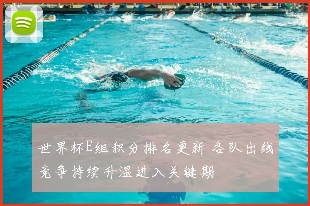 世界杯E组积分排名更新 各队出线竞争持续升温进入关键期