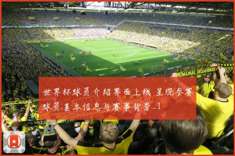 世界杯球员介绍界面上线 呈现参赛球员基本信息与赛事背景_1