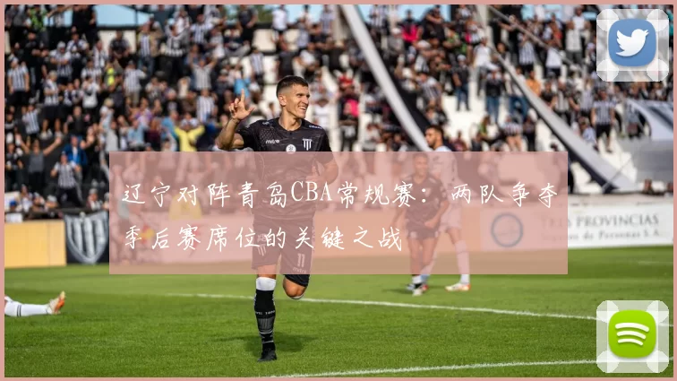 辽宁对阵青岛CBA常规赛：两队争夺季后赛席位的关键之战